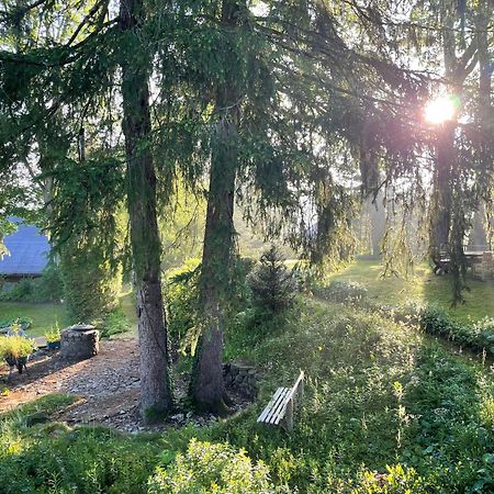 Liebevoll Eingerichtetes Ferienhaus Mit Grossem Garten Clausthal-Zellerfeld Dış mekan fotoğraf