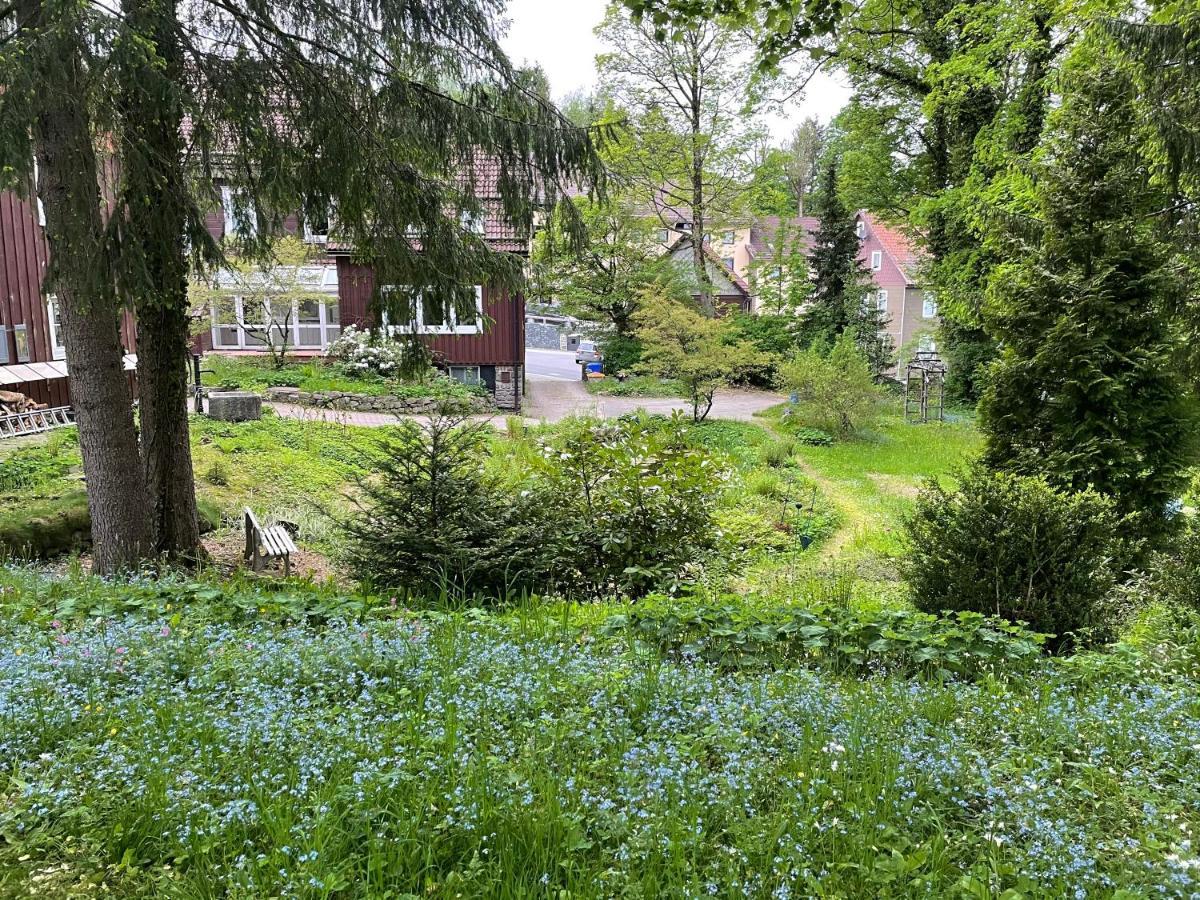 Liebevoll Eingerichtetes Ferienhaus Mit Grossem Garten Clausthal-Zellerfeld Dış mekan fotoğraf