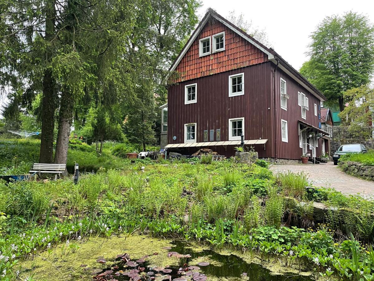 Liebevoll Eingerichtetes Ferienhaus Mit Grossem Garten Clausthal-Zellerfeld Dış mekan fotoğraf