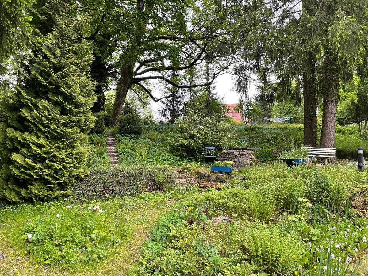 Liebevoll Eingerichtetes Ferienhaus Mit Grossem Garten Clausthal-Zellerfeld Dış mekan fotoğraf