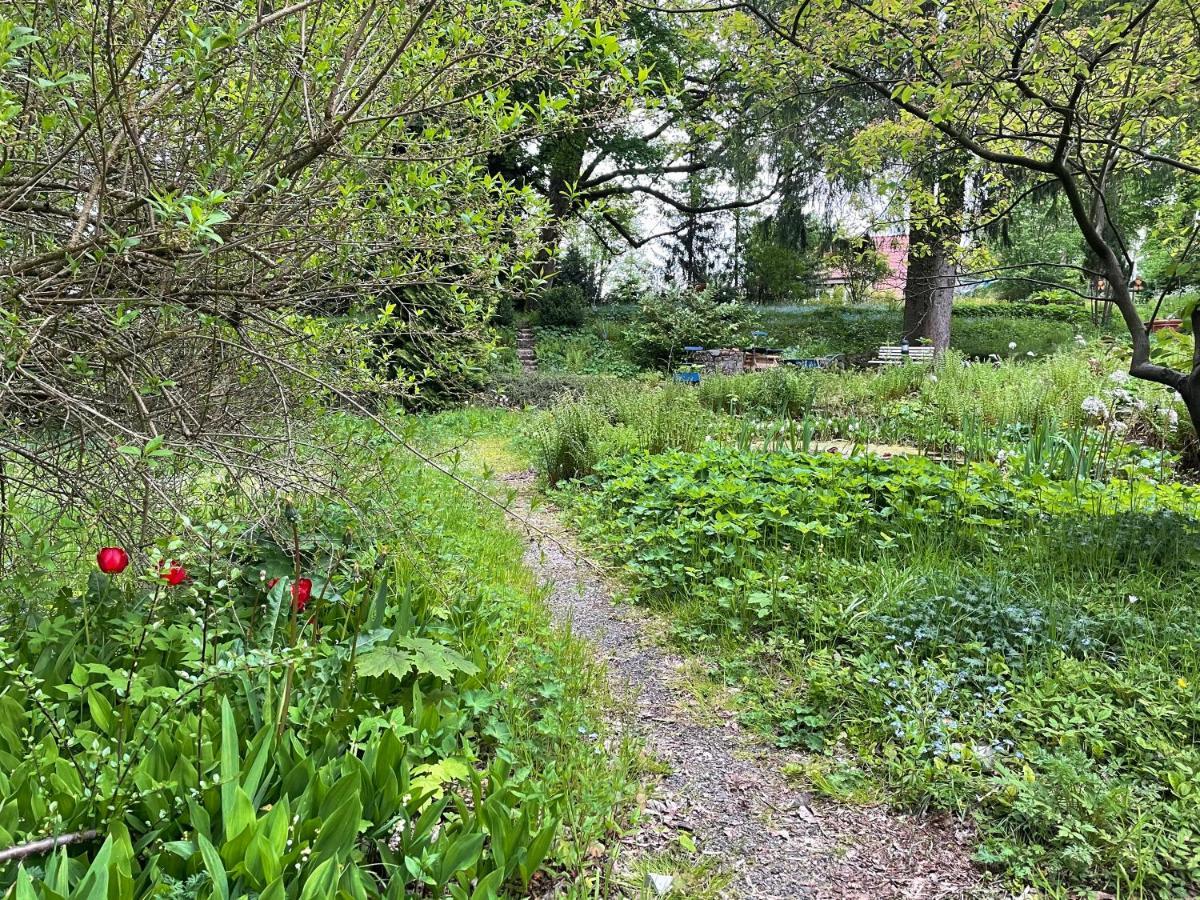 Liebevoll Eingerichtetes Ferienhaus Mit Grossem Garten Clausthal-Zellerfeld Dış mekan fotoğraf